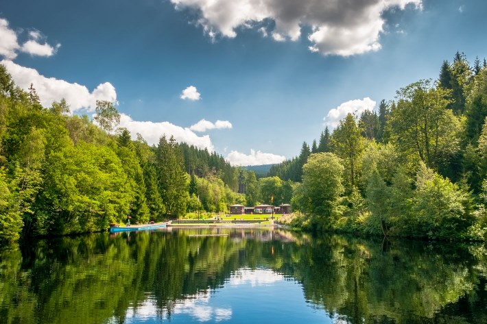 Grüne Idylle am See